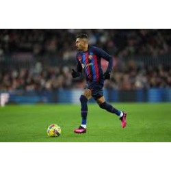 Raphaël sera absent pour cinq semaines.